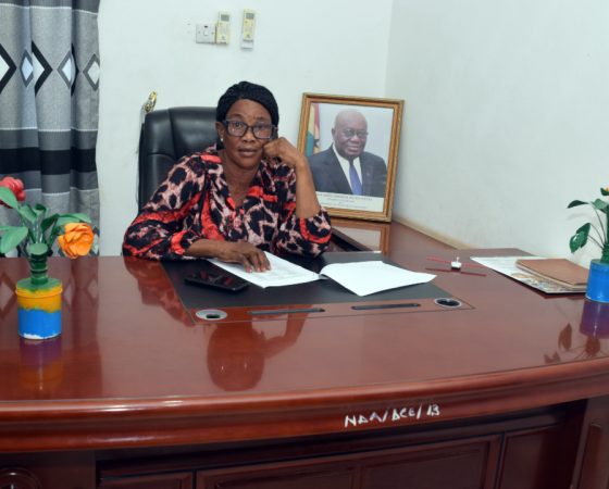 DISTRICT CHIEF EXECUTIVE