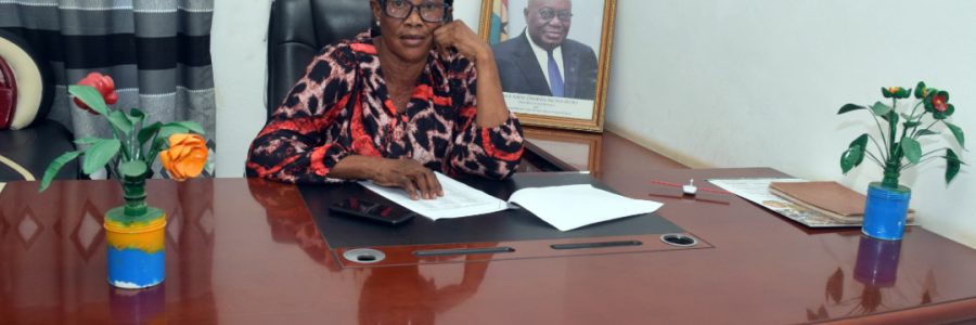 DISTRICT CHIEF EXECUTIVE